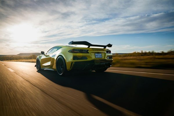 Why Are Dogs the Most Popular Pets in the UK?